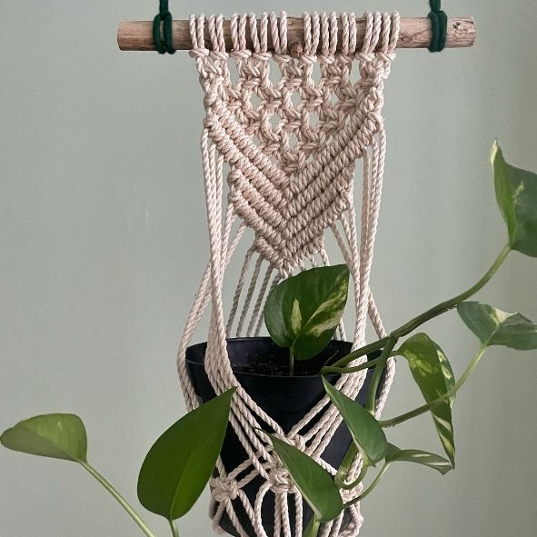 Portapiante con pattern a "V"
