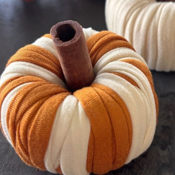 Zucca semplice bicolore